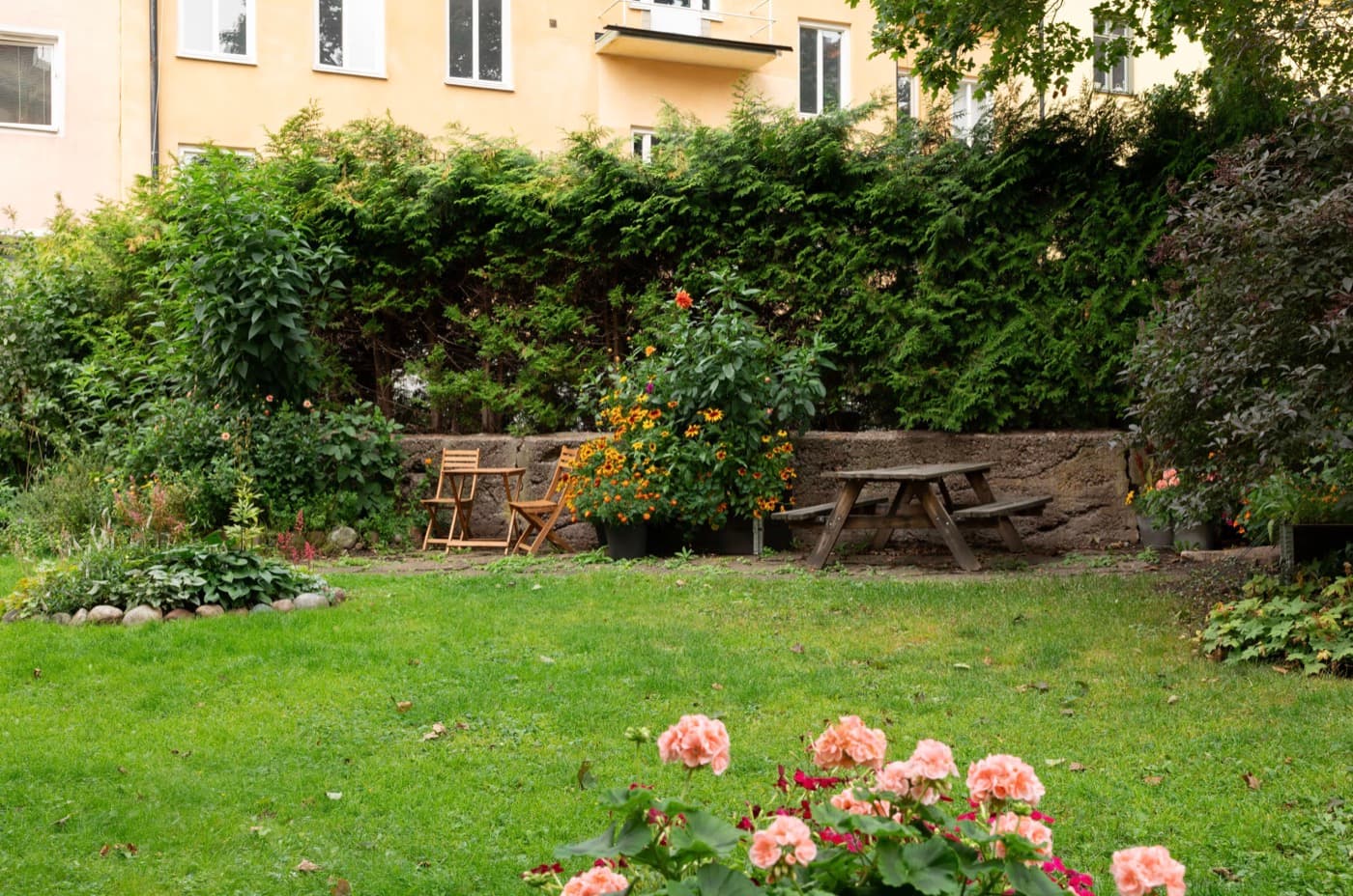 Innergården på sommaren med rosor