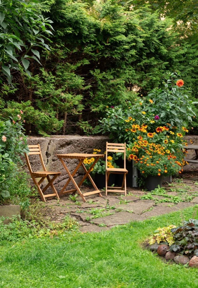 Trädgårdsdetalj med caféstolar och blommor